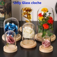 QINSHOP Glass cloche Home Decor Terrarium Tabletop Glass Vase Jar Transparent Bottle Flower Storage box