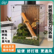 Dimensional Transparent Eyelash Gecko Cover Hook Asian Box R Tank Climbing Gecko Lizard Giant Chamel