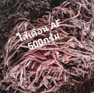 ไส้เดือน AF บรรจุ 500 กรัม