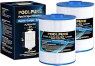 POOLPURE PLF6CH-352 Pool Filters Replaces 6CH-352, FC-0318, PAS40-F2M, 06-0055-1 2 Pack