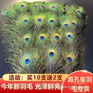 Tail Vase Home Accessories Peacock Feather Peacock Feather Real Feather Ornaments Ornaments Feather 