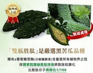 Ivenor 粒即穩 苦瓜胜肽 30粒