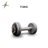 Pro Fixed Dumbbell - 7.5kg