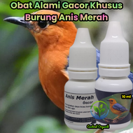 Vitamin Super Gacor Anis Merah Obat Alami Bikin Gacor Burung Anis Merah
