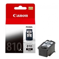 Canon PG-810 Ink Cartridge (Black)
