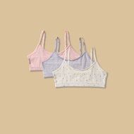 Max Fashion Pack Of 3 - Printed Non-Padded Trainer Bra