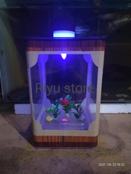 Aquarium mini minimalis bahan akrilik plus lampu LED REAL PICT