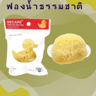 *BECARE NATURAL SPONGE B-Care Chick Sanitary Genuine 1 Piece