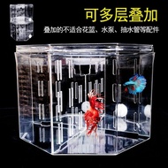 Small Betta Tank Acrylic Isolation Box Betta Box Desktop Fish Tank Ornamental Fish Small Fish Tank B