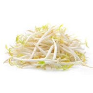 Bean Sprouts /  Taugeh