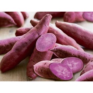 Ubi honey Cameron Highlands 2~3kg