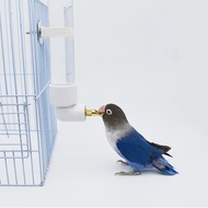 Bird Water Dispenser Hanging Bird Water Dispenser Pin Impact Plastic Bird Water Drinking Water Pet P