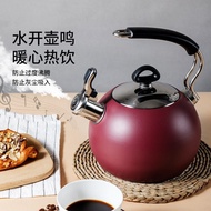 Botis 304 Stainless Steel Kettle Gas Gas Electric Stove Universal Whistle Household Kettle