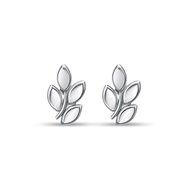SK Jewellery Petal Purity 10K White Gold Earrings