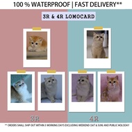 100% Waterproof | 3R Lomo Card | 4R Lomo Card | Lomo Prints | Lomo Card | Kad Lomo 3R & 4R