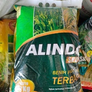BENIH PADI INPARI 33 KEMASAN 5 KG BIBIT PADI UNGGUL