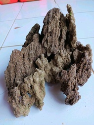 batu fosil pasir aquascape /1 kg