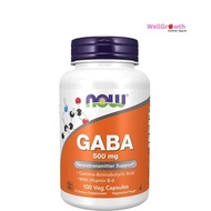 Now (Foods) -  GABA 500mg with B6 2mg