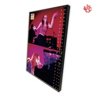 FIONA APPLE POSTER MOVIE POSTER/ HOME DECOR/ 575