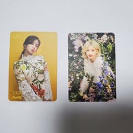 Apink 普美 初瓏 yes card