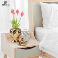 [SONONIA] Modern Ceramic Vase for Ginger, Flower Vase, Stylish Decorative Vases, Gold