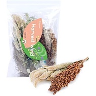 Niteangel Natural & Soft Hamster Bedding Mate Small Animal Habitat Decor for Syrian Dwarf Hamsters G