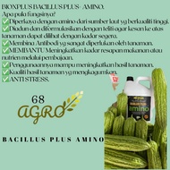 {READY STOCK} BACILLUS PLUS AMINO (5LITER)