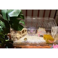 Hamster Quail Gerbils Acrylic Cage 80cm by 40cm