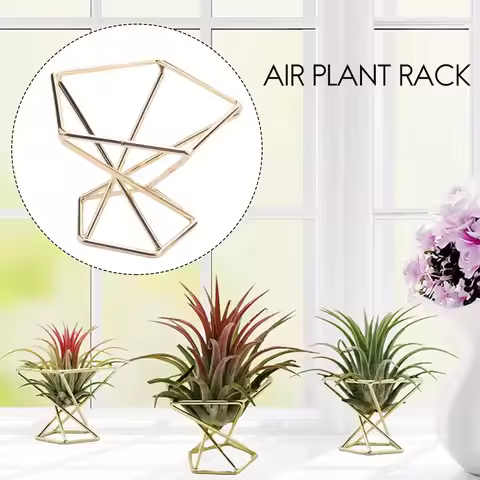 AT84-3 Pcs Geometric Air Plant Holder Airplants Rack Metal Plants Stand Planter Shelves Himmeli Deco