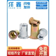 Pull Nut Rivet Nut Pull Rivet Pressure Rivet Nut Flat Head Column Rivet Nut Countersunk Head Column 