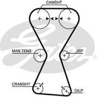 Timing Belt GALANT E33 LANCER CEDIA CS9 2.0 EVO 7 8 9 SONATA Y2 Y3 4G63 4G63-T G4CP 2.0 153 Teeth