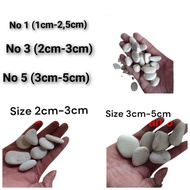 / coral stoneSmallest coral stone 1kg/ White coral stone/ decorative stone/ garden stone/ brush ston