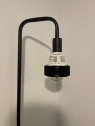 珀譽植物燈