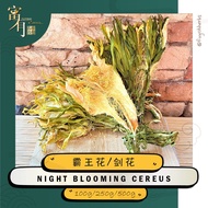 Night Blooming Cereus 霸王花/剑花 【FUYOH HERBS】