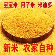 New Beige Millet Farm Stomach-raising Millet Confinement Baby Rice Oil Millet Whole Grain Breakfast 