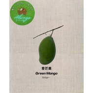 Green Mango 青芒果