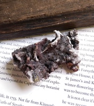 Barite Chalcopyrite 重晶石 黃銅礦 共生礦 天然礦石 原礦