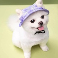 Dog Cat Hat Cat Dog Hat