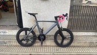 Tern surge 451