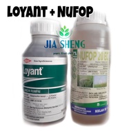 Combo Set🔥 Loyant+Nufop Racun Rumpai Herbicides nufop loyant