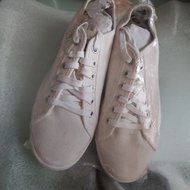 DICKIES Men Shoe 男裝休閒鞋
