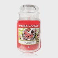 YANKEE CANDLE 香氛蠟燭 623G (多款任選) 紅樹莓