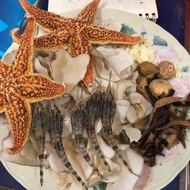 海星海雀化痰止咳湯包🍲⭐️🎆
