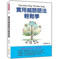 Practical Vietnamese Grammar Easy Learn < Bite Book >