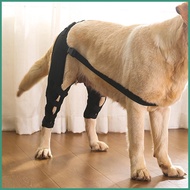 Hip Brace for Dogs Rear Leg Knee Brace Hip Joint Support Dog Hip Brace Support Rear Leg Knee Brace P
