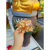 Asoka FLOWERS / ASOKA SANGGUL FLOWERS / CUCUK ASOKA FLOWERS