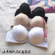 Push Up Bra 817 Steel Ring Bra Span Extra Tebal