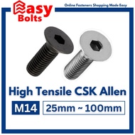 HT CSK Allen Screw - M14 x 25mm ~ 100mm (Coarse Thread Pitch 2.0mm) (High Tensile Countersunk Socket