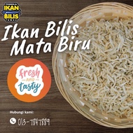 Ikan Bilis Mata Biru