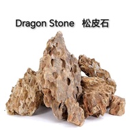 Dragon Stone 1kg Aquarium Decoration Stone 松皮石 Ohko Stone Ohko rock Alveolate Aquascape Aquascaping 